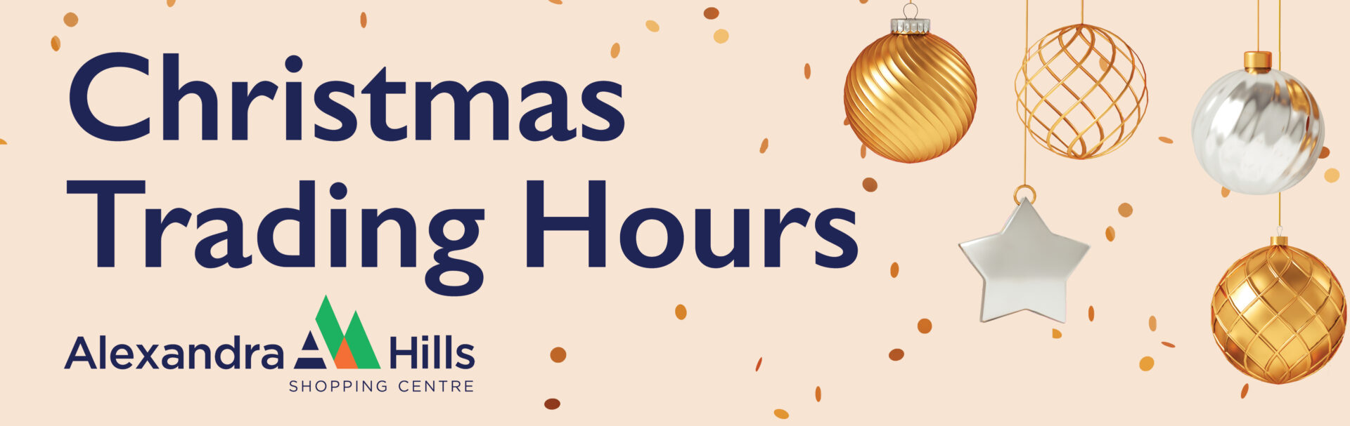 AHSC - BTM - Christmas 2025 Web Banner